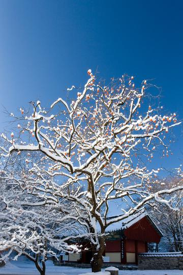 雪景的内藏寺