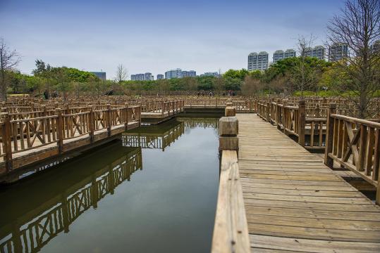 厦门五缘湾湿地公园