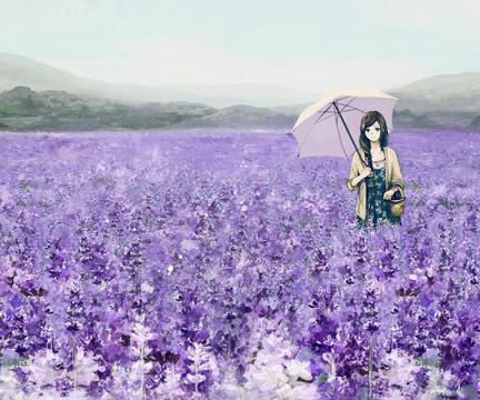 美女薰衣草花海