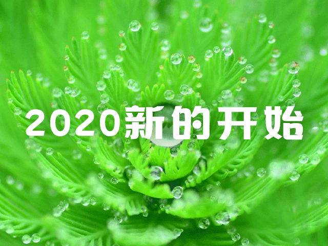 2020新的开始