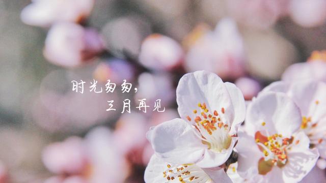 三月再见,再见过去式