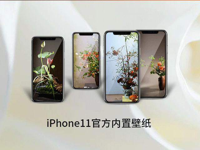 iPhone11官方内置壁纸