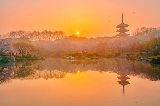 武汉东湖唯美旅游景点